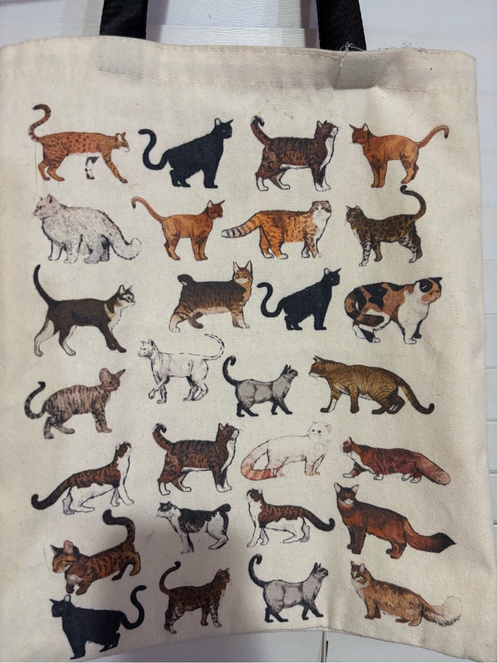 Canvas Cat Tote Bag - Picture 2 of 4